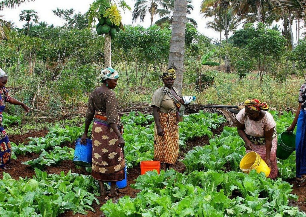 Farming
